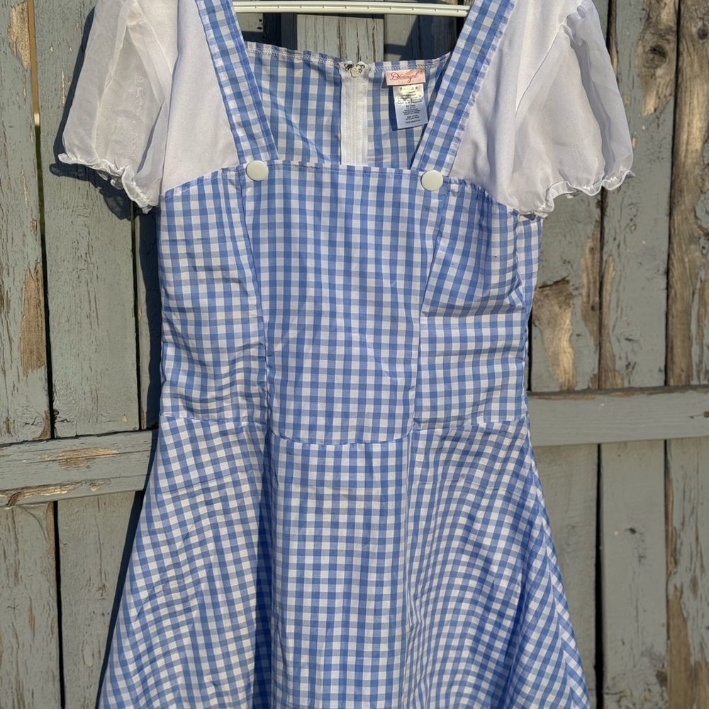 Dreamgirl Blue and White Gingham Dress